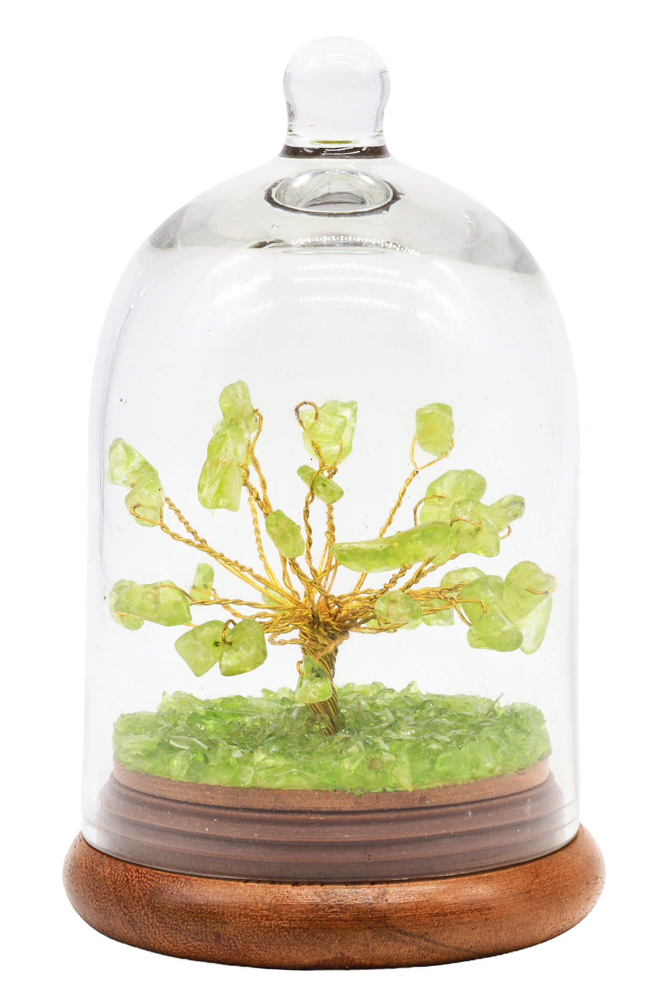Arbre du Bonheur Péridot sous Cloche 12cm – Pierre de Lumière & Renouveau Naturel