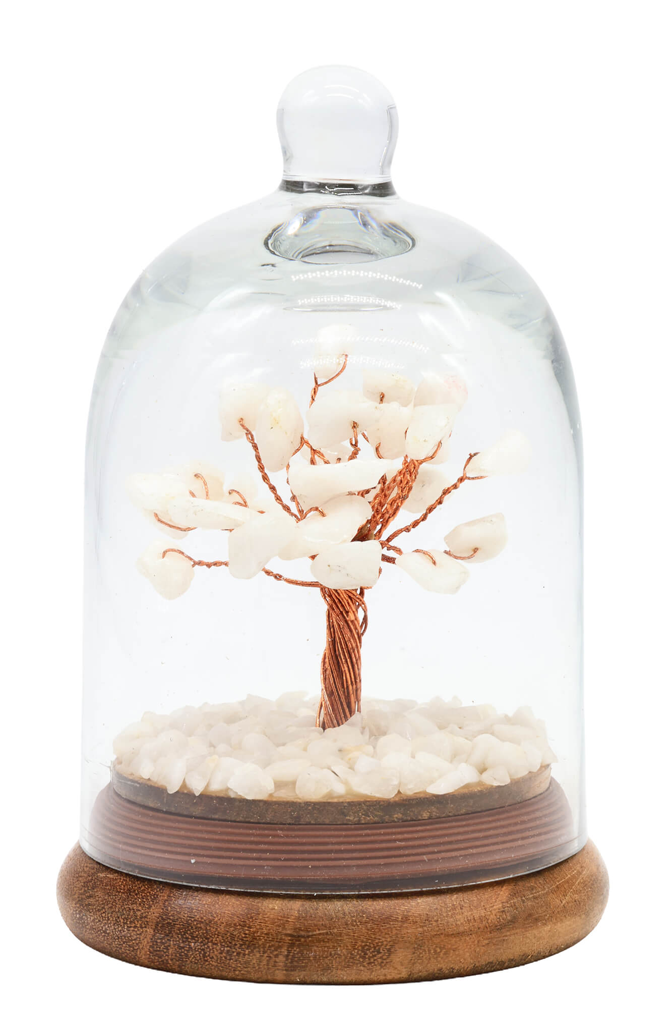 Arbre du Bonheur Jade Blanche sous Cloche 12cm – Pierre de Pureté & Sérénité Naturelle