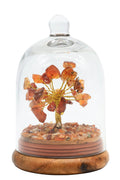 Arbre du Bonheur Cornaline sous Cloche 12cm – Pierre de Vitalité & Courage Naturel