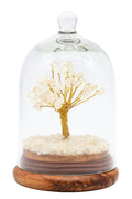 Arbre du Bonheur Cristal de Roche sous Cloche 12cm – Pierre Universelle & Pureté Cristalline