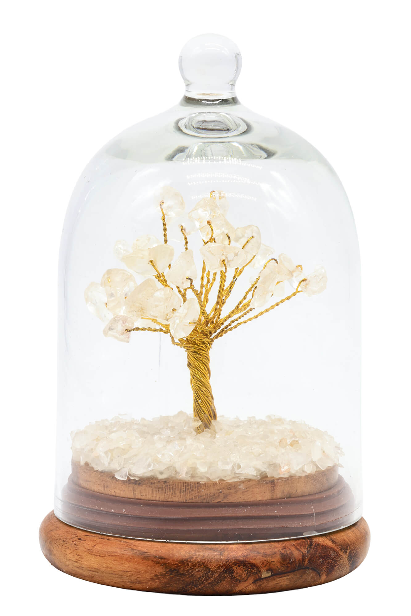Arbre du Bonheur Cristal de Roche sous Cloche 12cm – Pierre Universelle & Pureté Cristalline