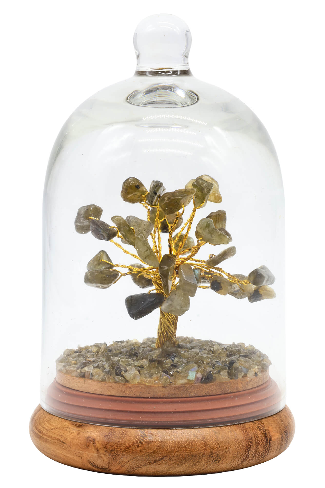Arbre du Bonheur Labradorite sous Cloche 12cm – Pierre Magique & Protection Spirituelle
