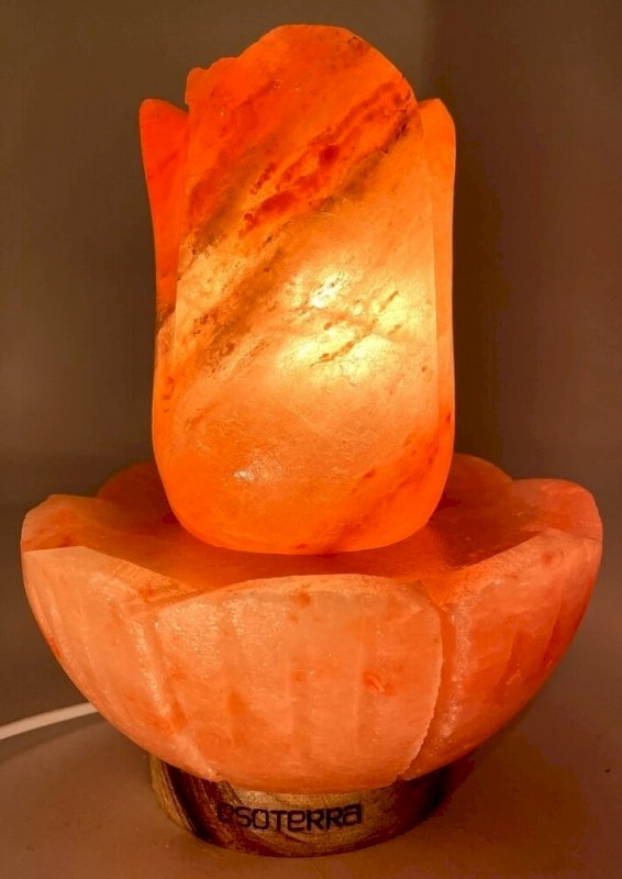 Lampe de Sel Himalaya Lotus – 5,5 KG | Finition Exceptionnelle | Kit CE & Socle Bois