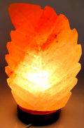 Lampe de Sel de l'Himalaya Feuille – 2 à 3 KG | Socle Bois | Kit CE Inclus