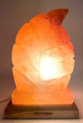 Lampe de Sel de l'Himalaya Feuille – 3 à 3,5 KG | Socle Bois | Kit CE Inclus