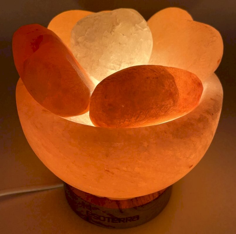 Lampe de Sel de l'Himalaya Bol & Cœurs – 3 à 3,5 KG | Socle Bois | Kit CE Inclus