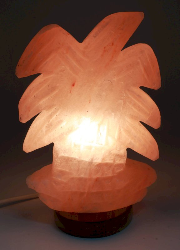 Lampe de Sel de l'Himalaya Palmier – 3 à 4 KG | Socle Bois | Kit CE Inclus
