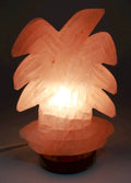 Lampe de Sel de l'Himalaya Palmier – 3 à 4 KG | Socle Bois | Kit CE Inclus