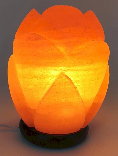 Lampe de Sel de l'Himalaya Tulipe – 2 à 3 KG | Socle Bois | Kit CE Inclus