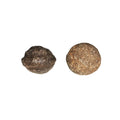 Paire de Moquis Balls 22-28 mm – Pierres du Chaman | Équilibre & Protection | Alchimie Concept France