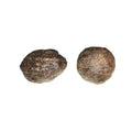 Paire de Moquis Balls 28-38 mm – Pierres du Shaman | Harmonie & Équilibre | Alchimie Concept France