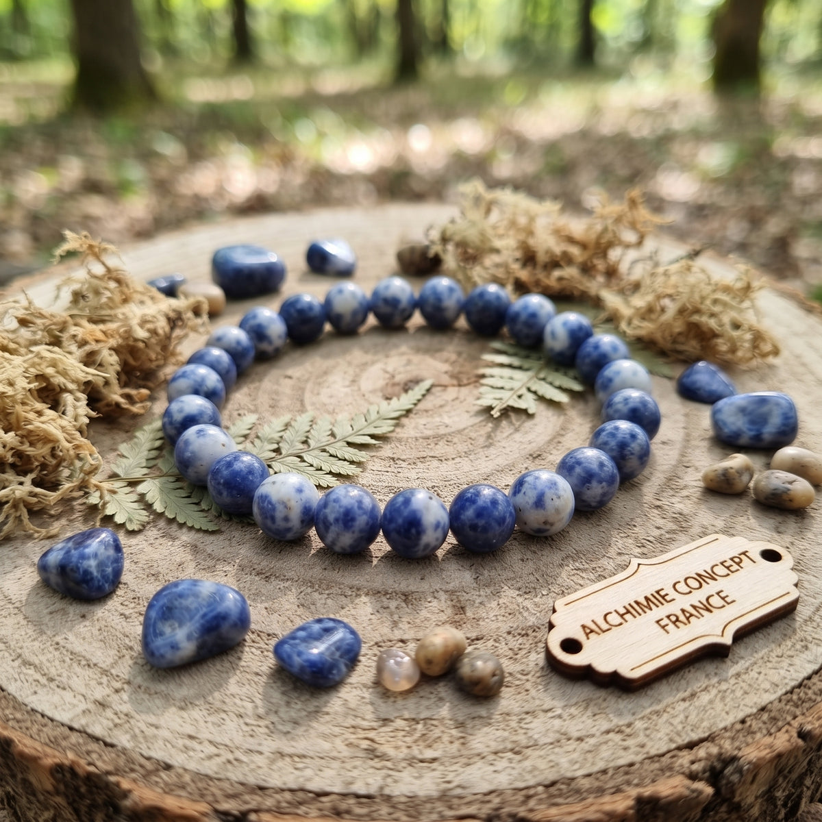 Bracelet Jaspe Taché Bleu Pierre Naturelle 10 mm – Élastique Unisexe