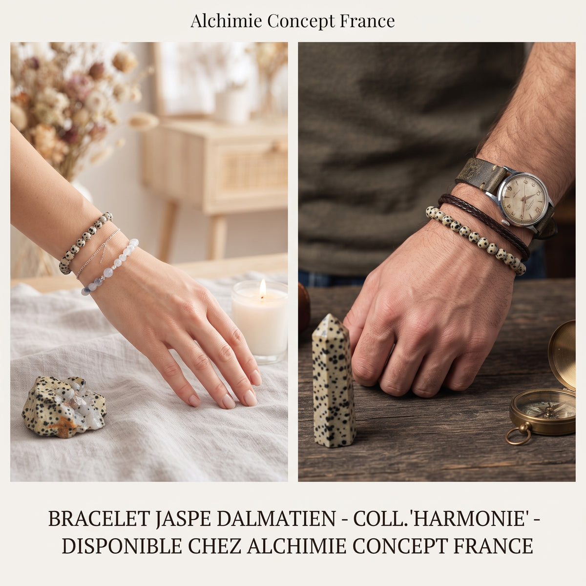 Bracelet Jaspe Dalmatien Pierre Naturelle 6mm – Homme & Femme