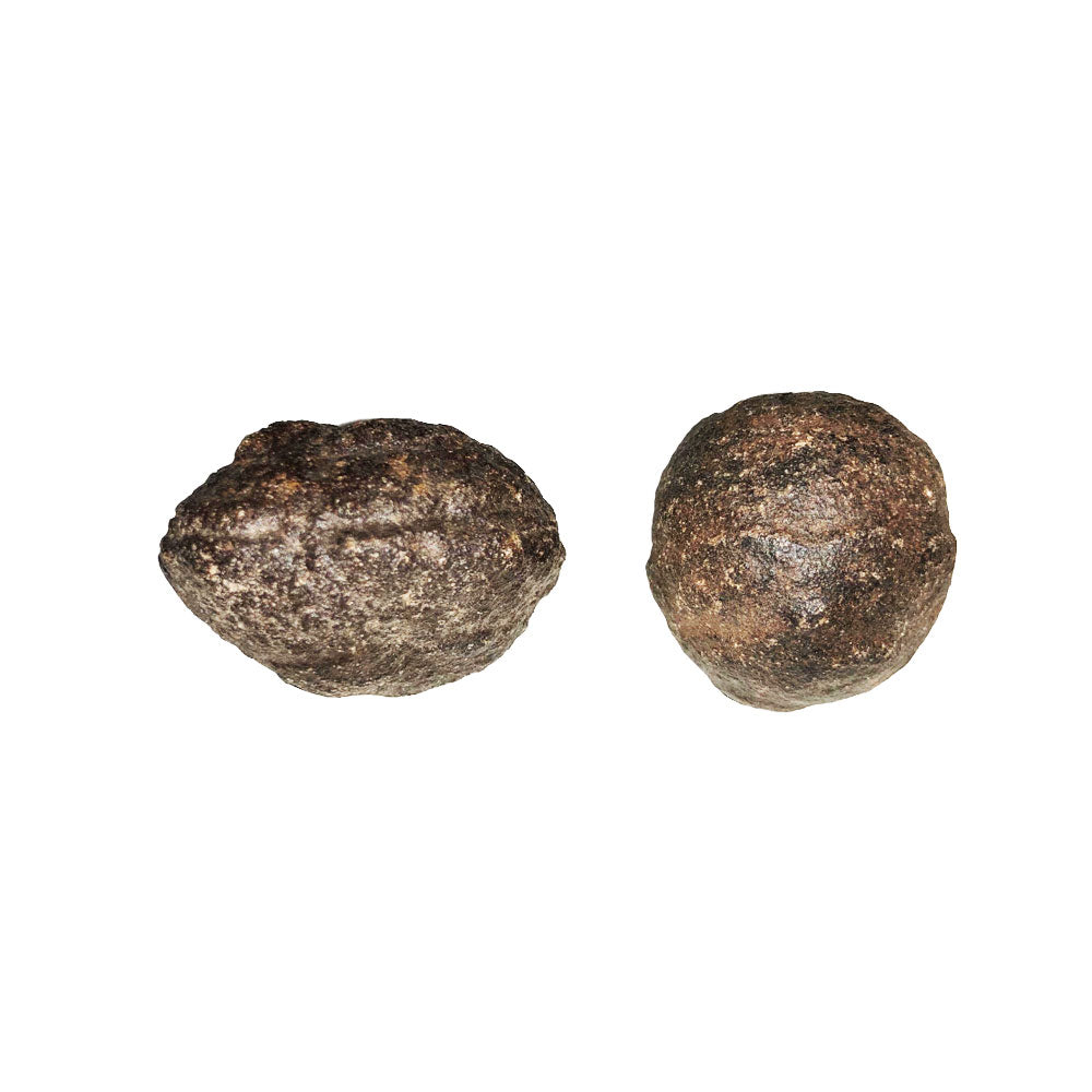 Paire de Moquis Balls 28-38 mm – Pierres du Shaman | Harmonie & Équilibre | Alchimie Concept France