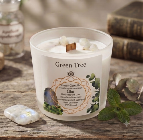 * Bougie Green Tree Croissance Intérieure | Pierre de Lune & Menthe | Épanouissement & Méditation 256g