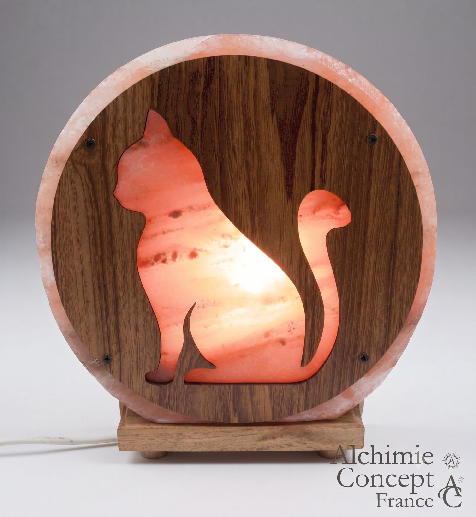 ✨ Lampe de Sel Chat 5 kg – Sculpture Féline Himalaya | Lumière Ambrée & Purification de l'Air