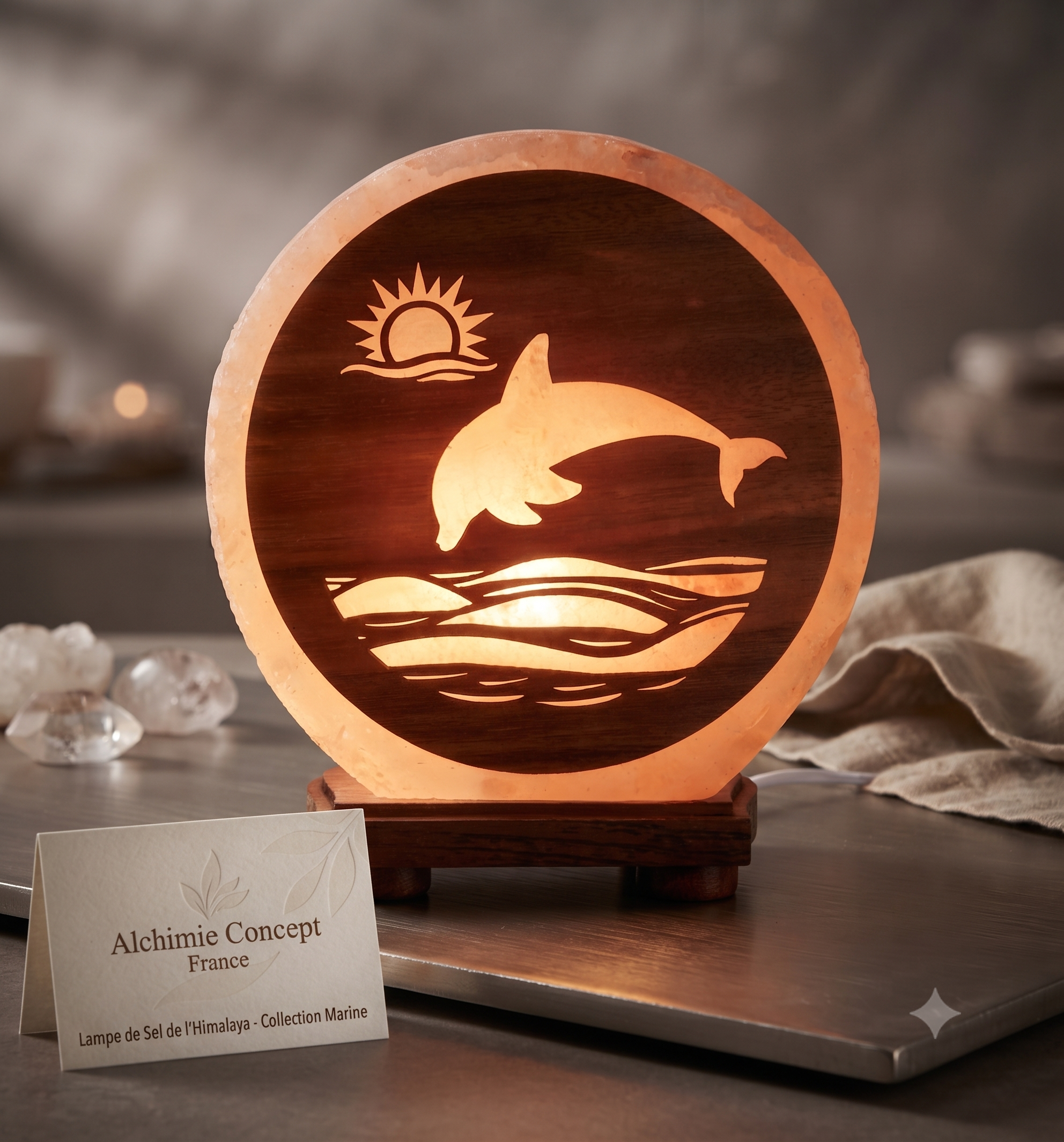 ✨ Lampe de Sel Dauphin 5 kg – Énergie de l'Océan, Lumière Ambrée & Purification Himalaya