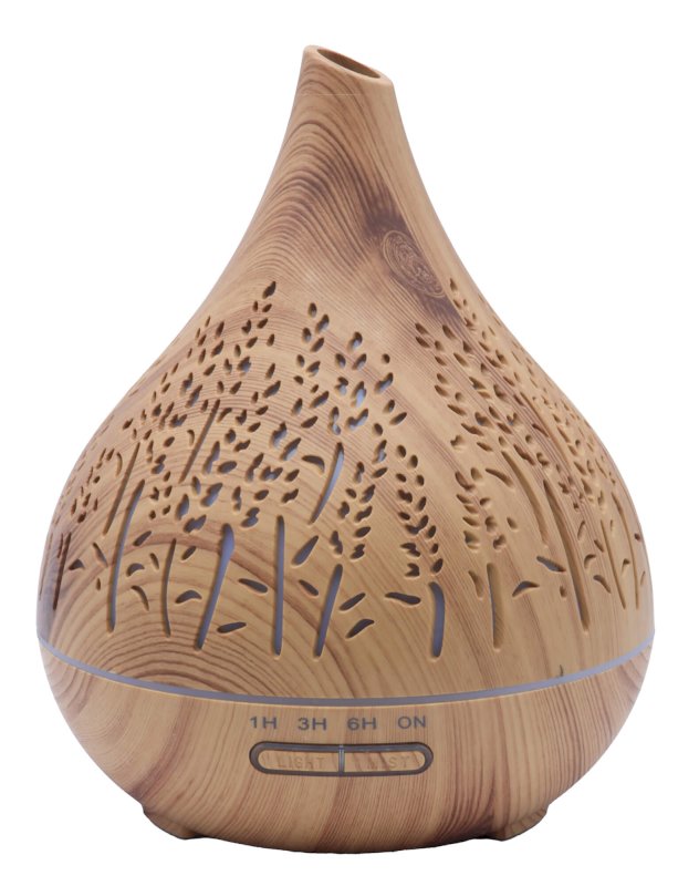 Diffuseur d'Huiles Essentielles – Vase Roseaux 21cm
