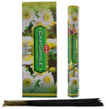 Encens HEM Camomille - Boîte de 6 paquets de 20g
