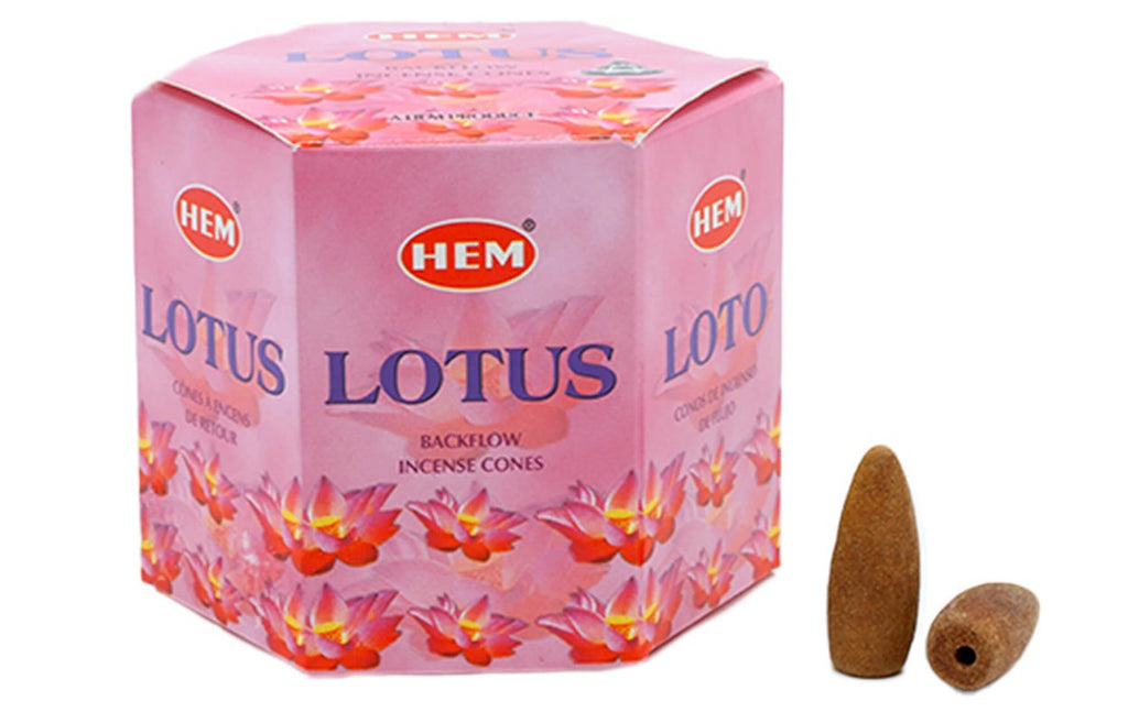 Backflow Cônes HEM Lotus – Boîte de 12 paquets de 40 cônes