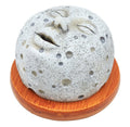 Porte-Encens Backflow Tête de Bouddha Fumeuse 10cm