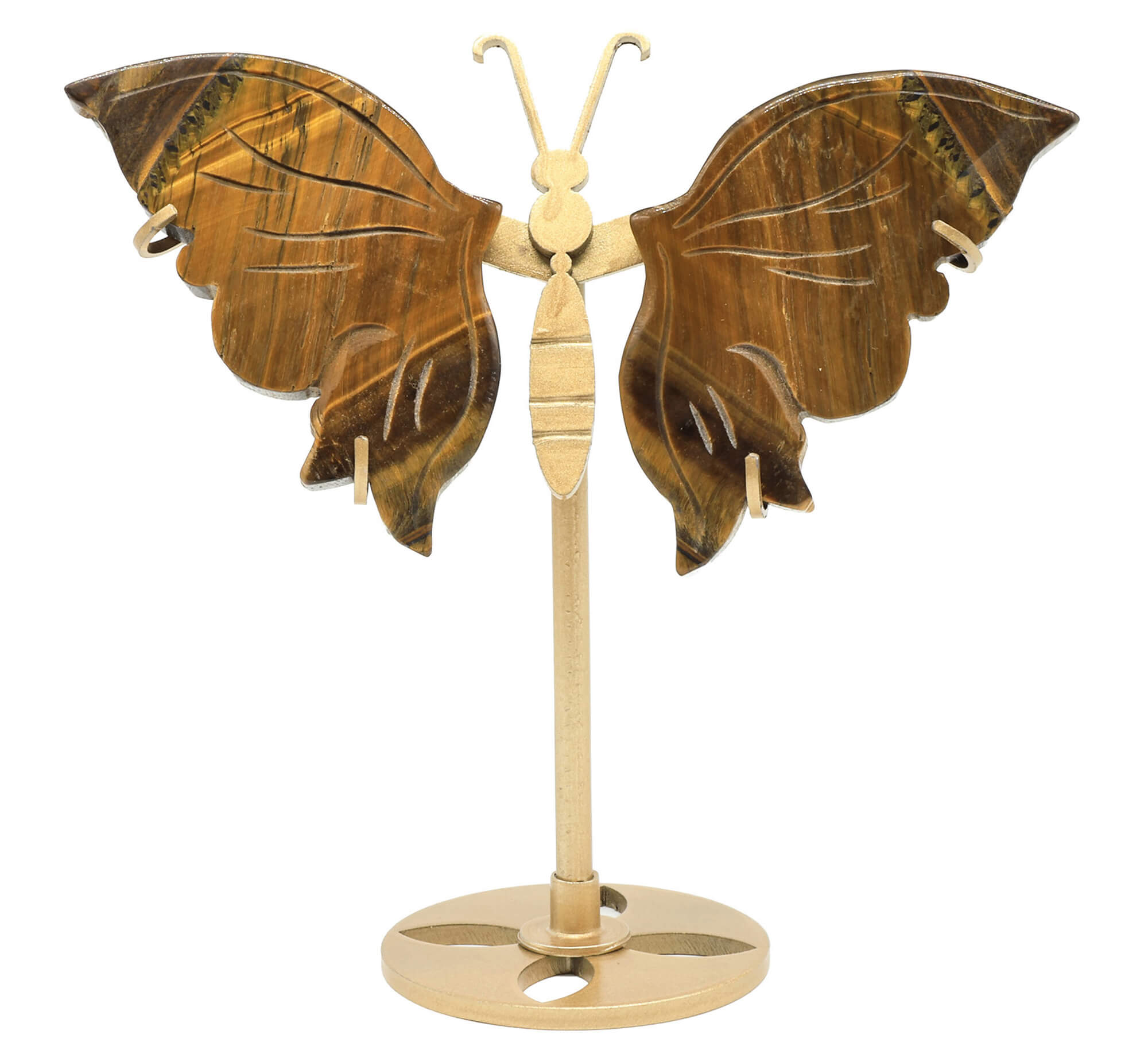 Papillon Œil de Tigre sur socle 14cm