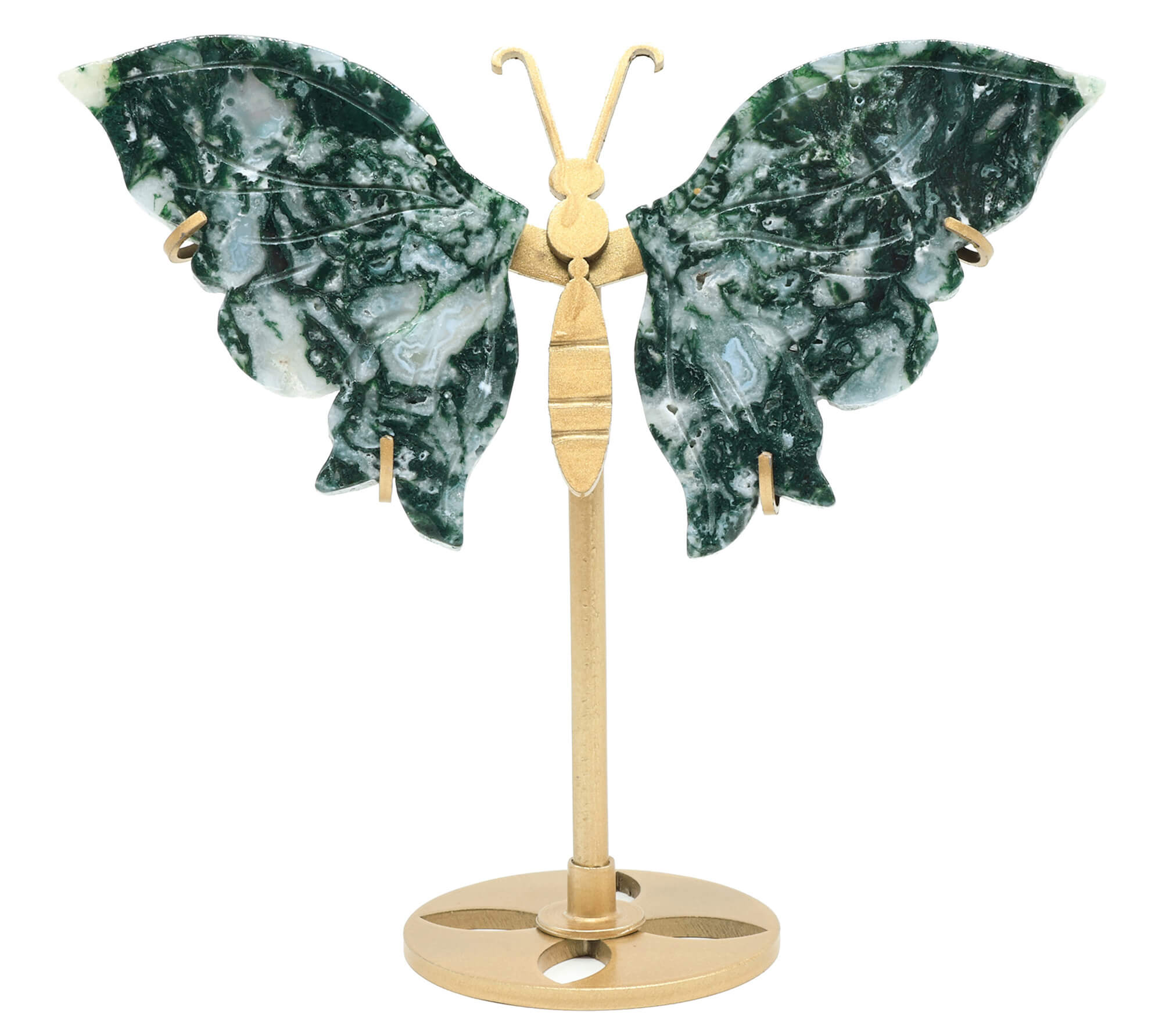 Papillon Agate Mousse sur Socle 14cm