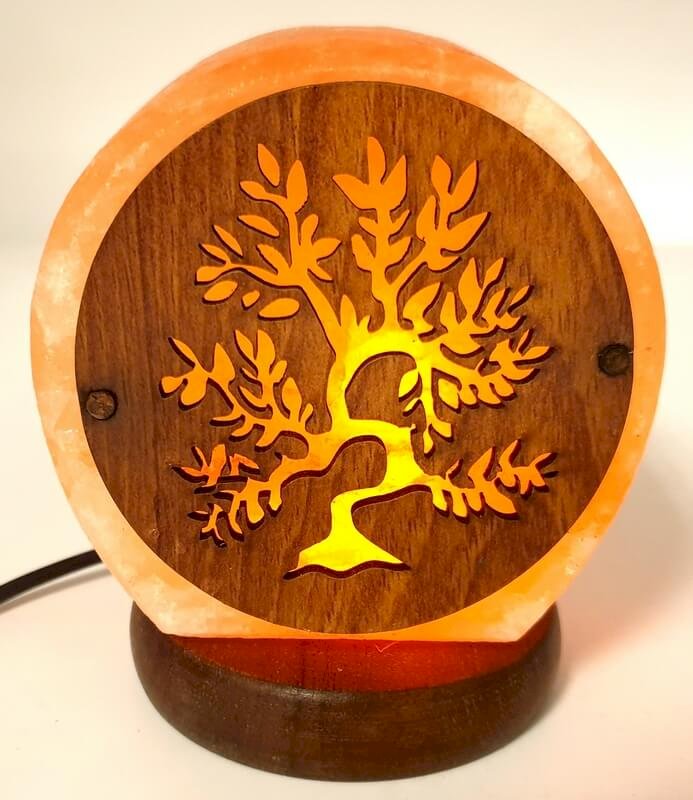 Lampe de Sel de l'Himalaya USB Arbre de Vie – 500g à 1 KG