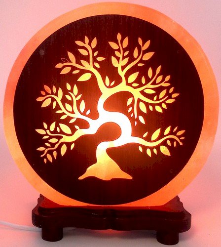 Lampe de Sel Himalaya Arbre de Vie 5KG