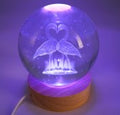 Veilleuse USB Verre Cygnes Multicolore 9cm