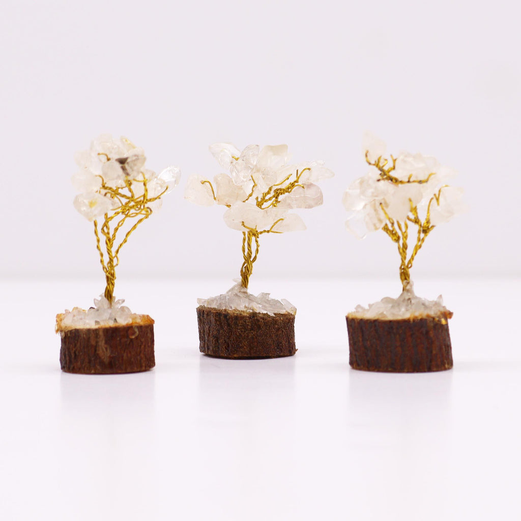 Mini Arbres en Pierres Précieuses sur Socle en Bois – Quartz Cristal de Roche (15 pierres)