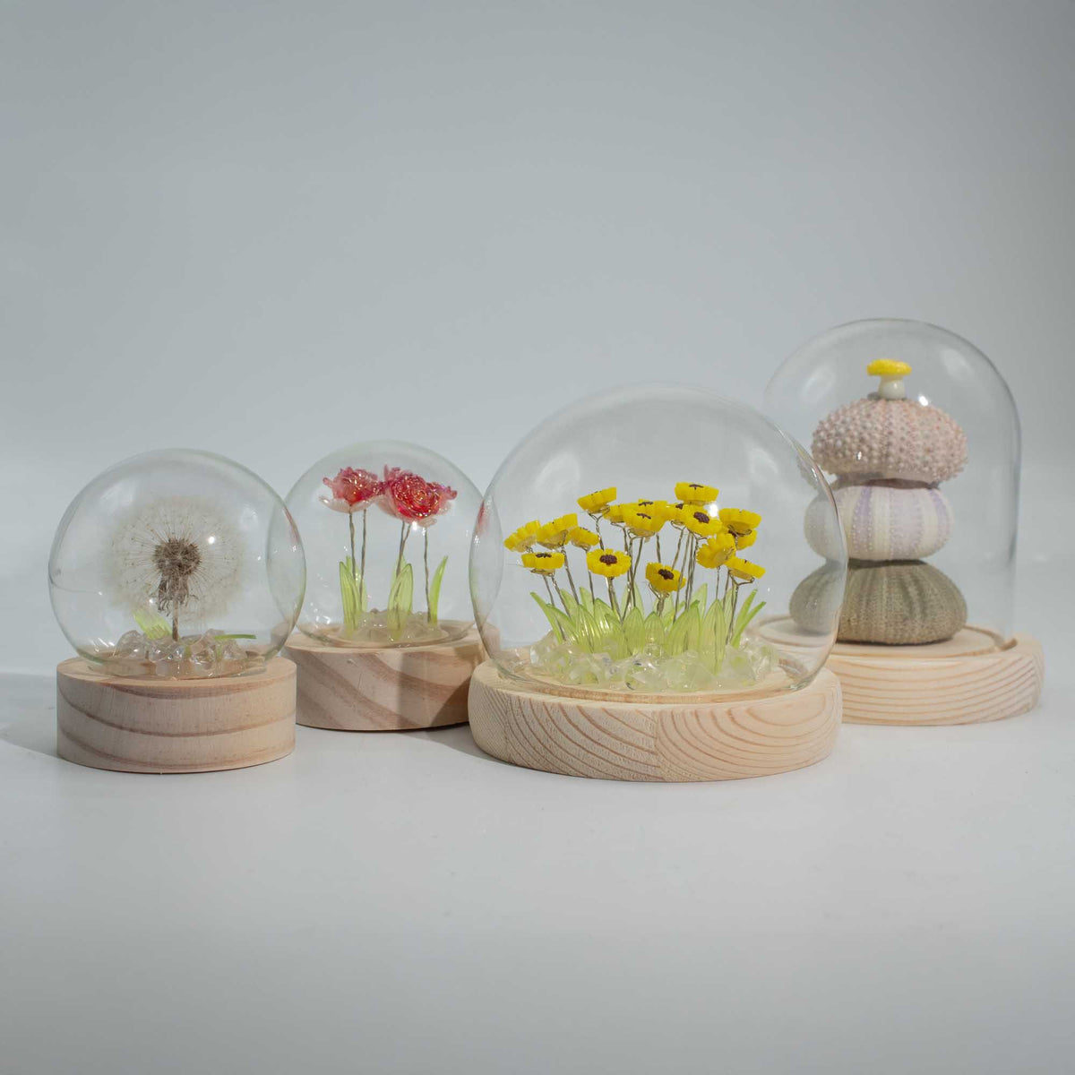* Dôme floral lumineux – 10 roses roses, LED USB
