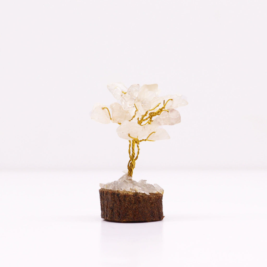 Mini Arbres en Pierres Précieuses sur Socle en Bois – Quartz Cristal de Roche (15 pierres)