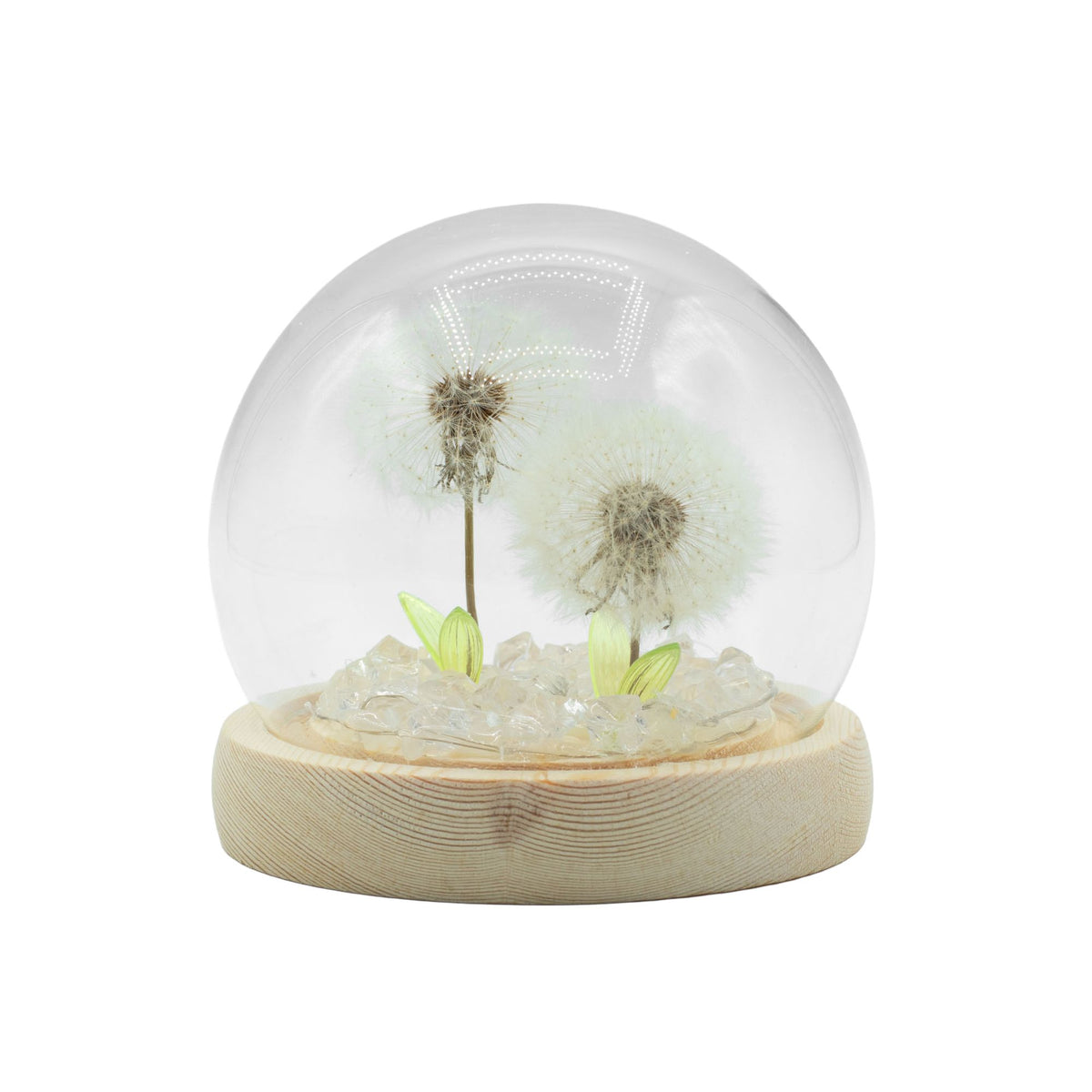 * Dôme floral lumineux – 2 pissenlits, LED USB