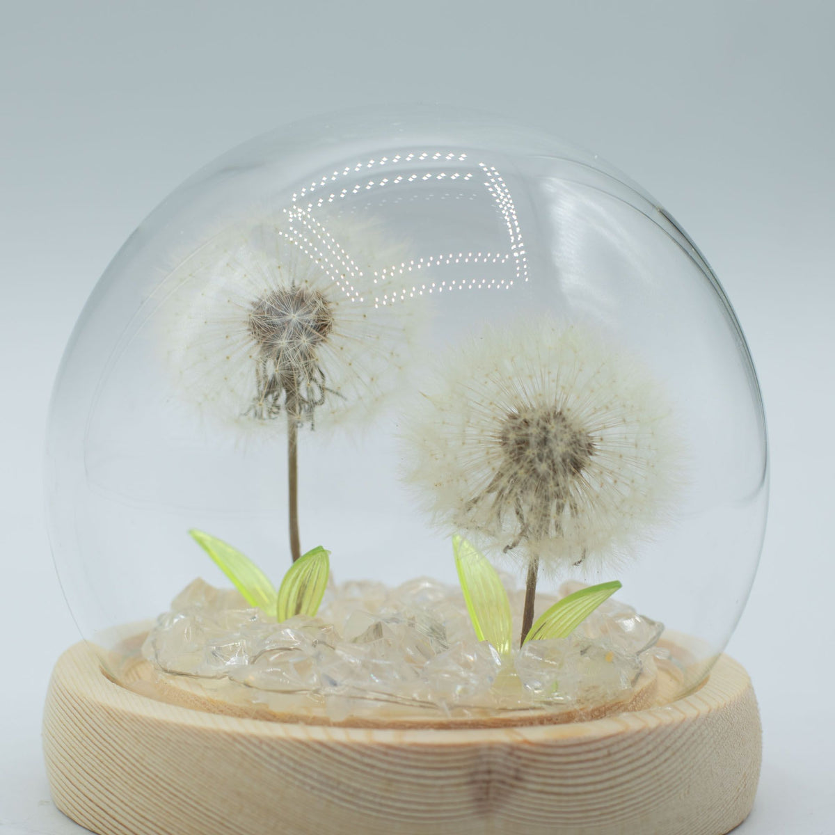* Dôme floral lumineux – 2 pissenlits, LED USB