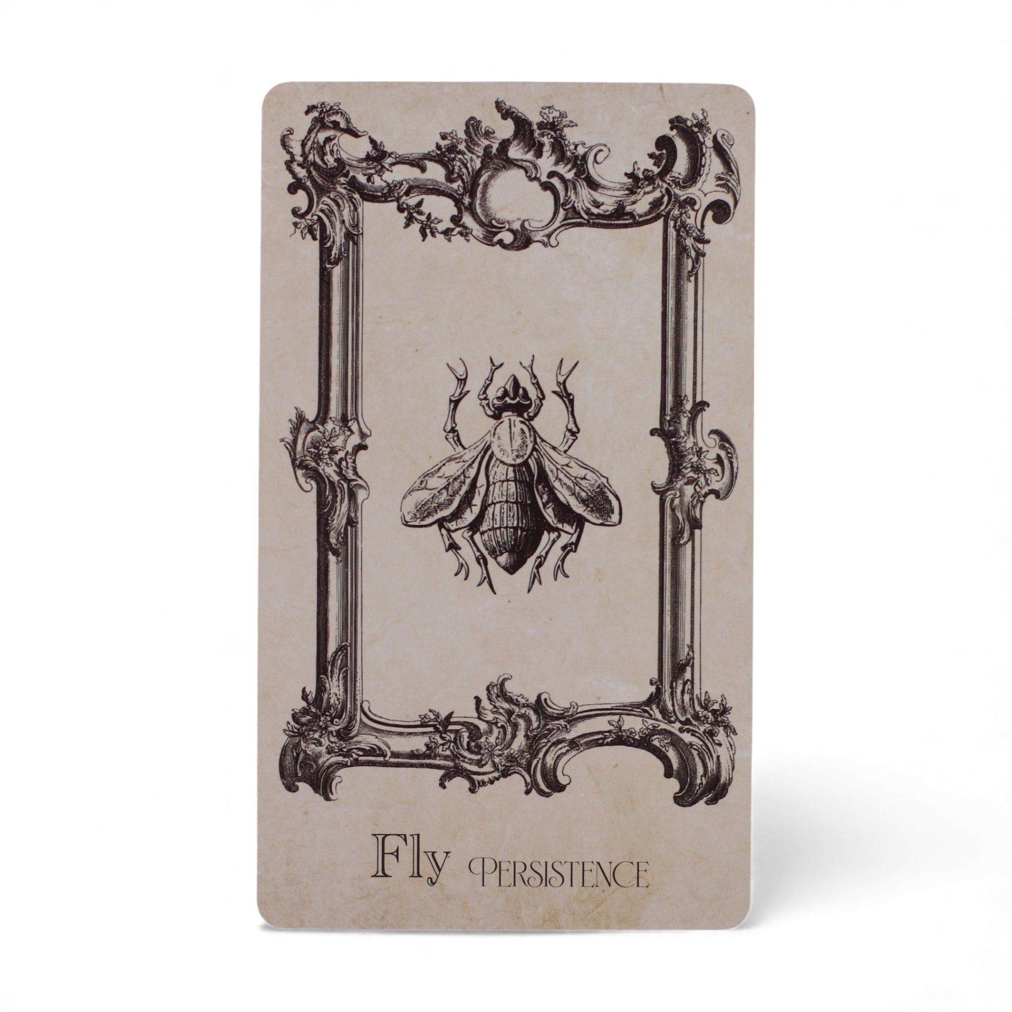 Le Grimoire – Cartes Oracle de Sorcellerie
