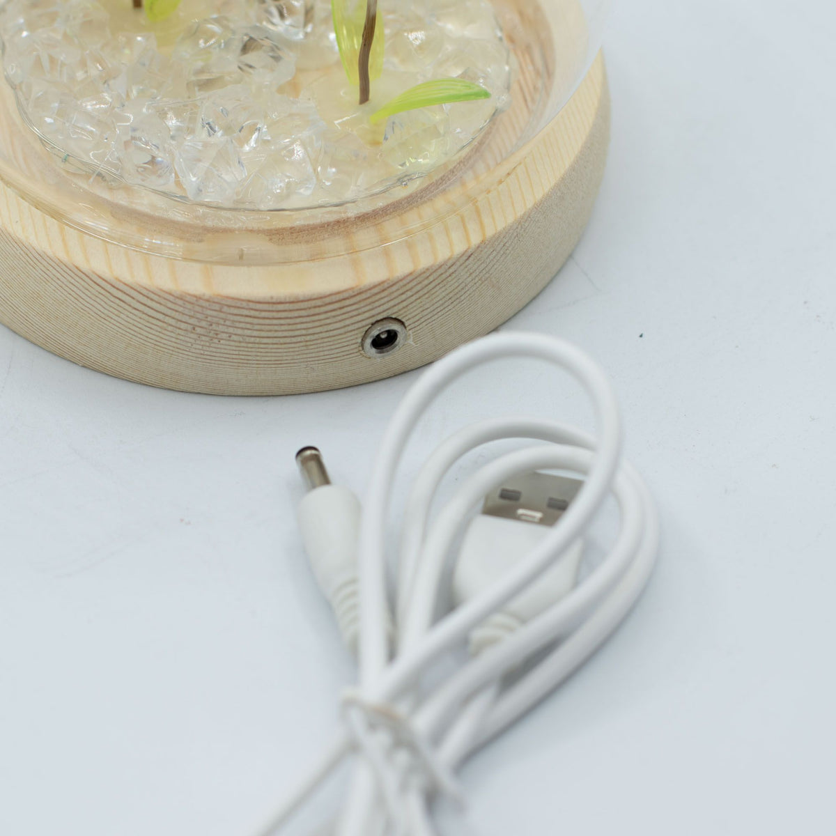* Dôme floral lumineux – 2 pissenlits, LED USB