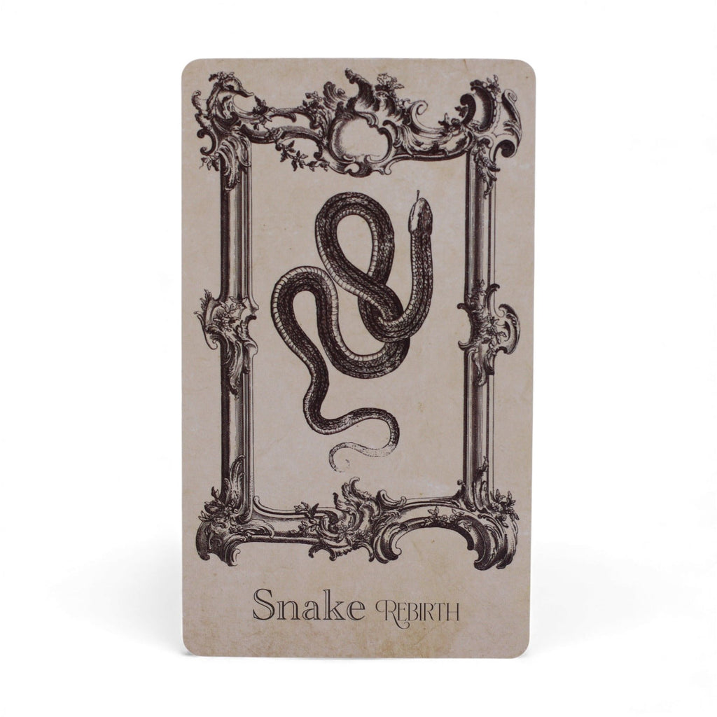 Le Grimoire – Cartes Oracle de Sorcellerie