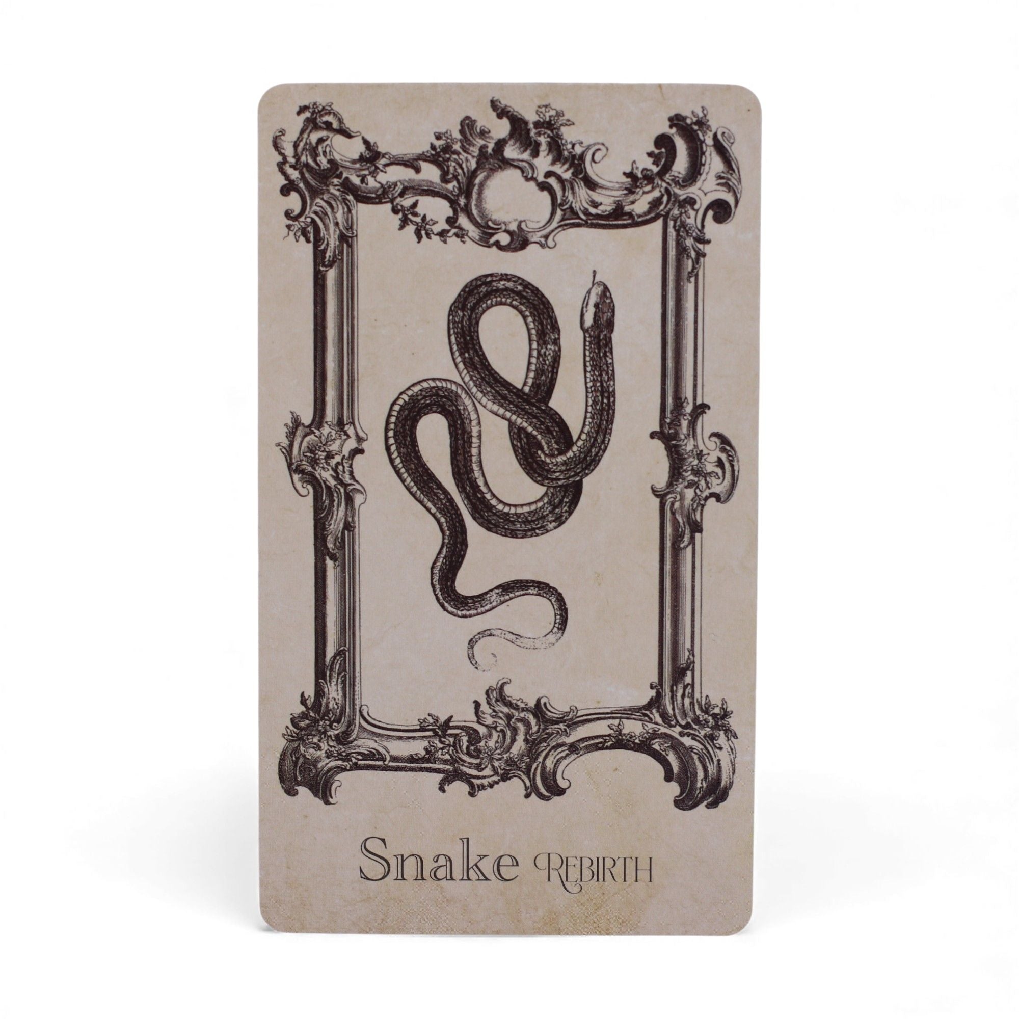 Le Grimoire – Cartes Oracle de Sorcellerie