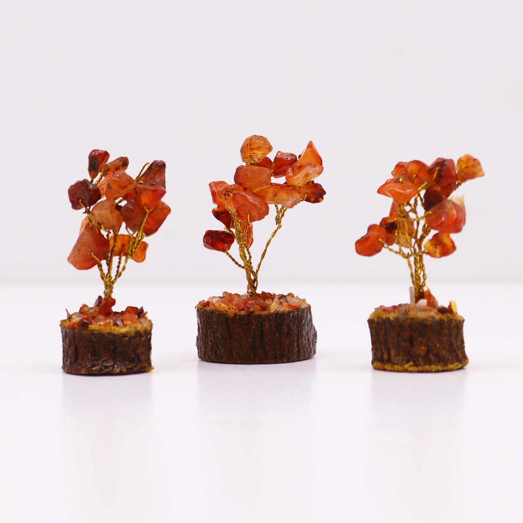 Mini Arbres en Pierres Précieuses sur Socle en Bois – Cornaline (15 pierres)