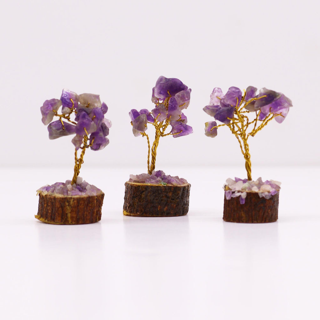 Mini Arbres en Pierres Précieuses sur Socle en Bois – Améthyste (15 pierres)