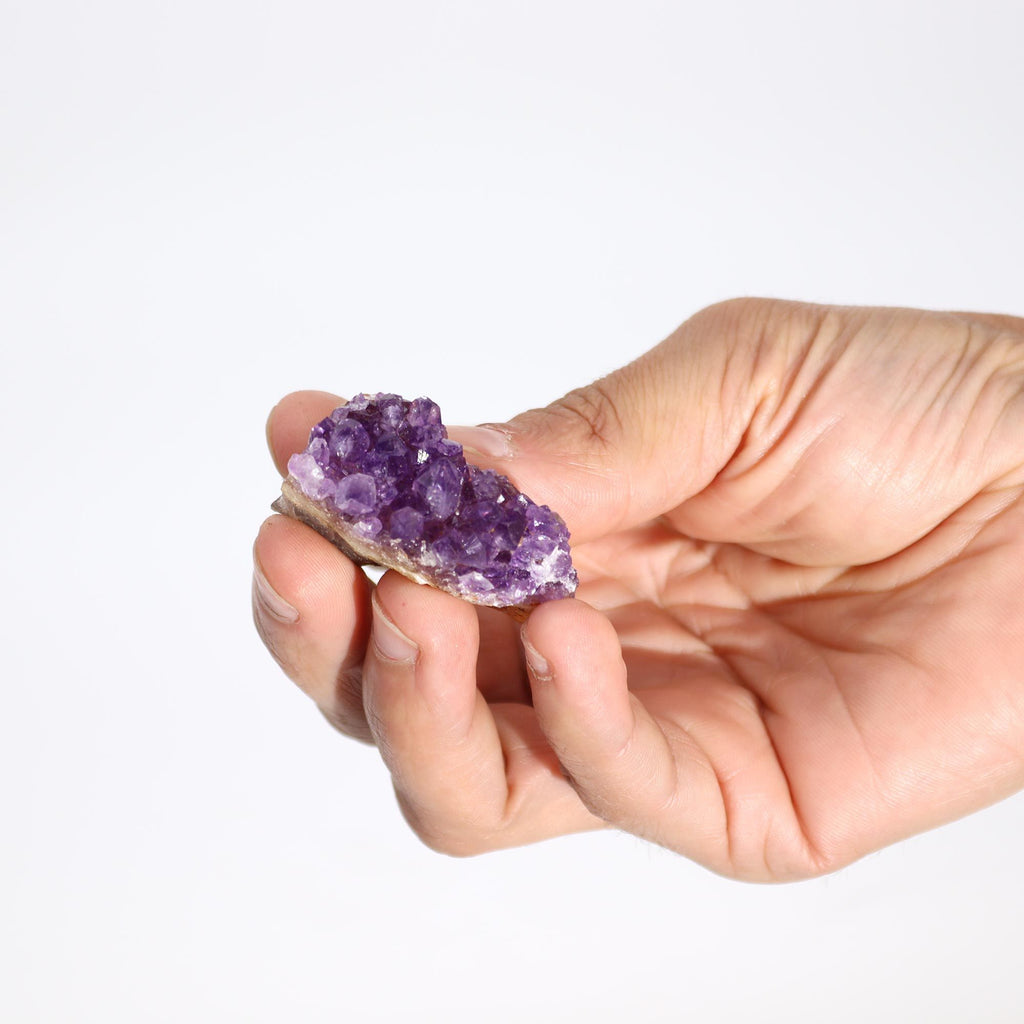 Petite druse d’améthyste naturelle de qualité supérieure (env. 3 à 8 cm)