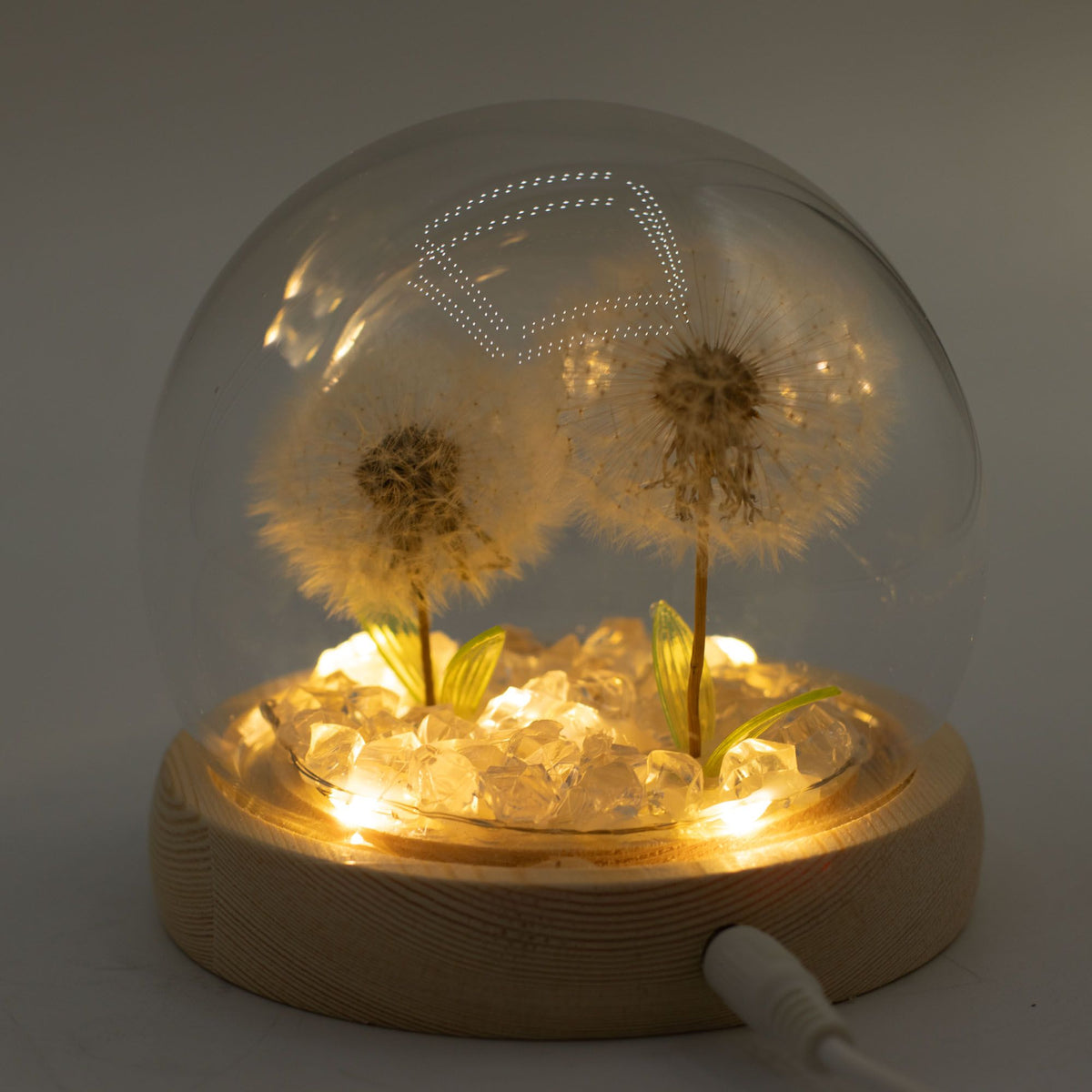 * Dôme floral lumineux – 2 pissenlits, LED USB