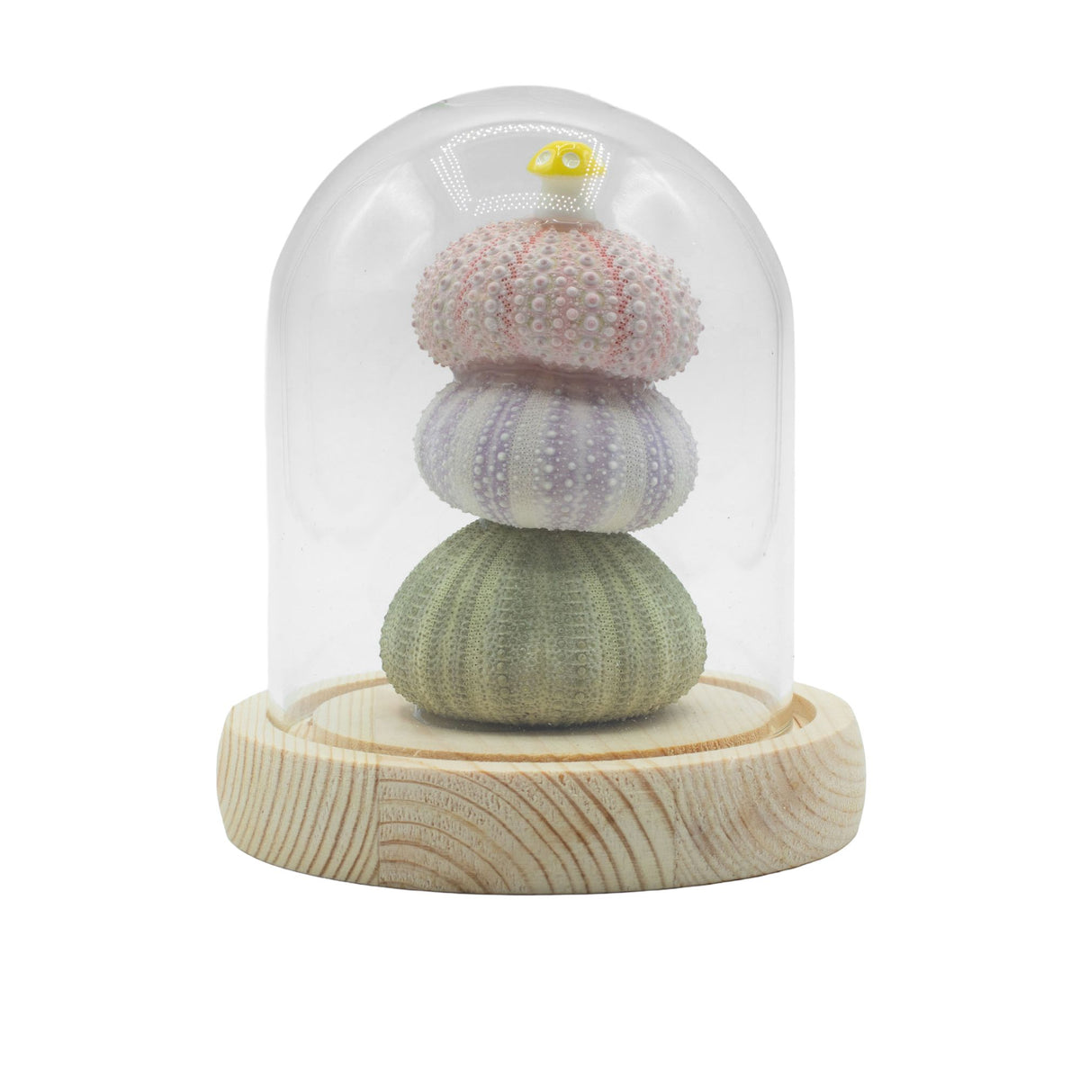 * Cloche lumineuse – 3 oursins décoratifs LED USB