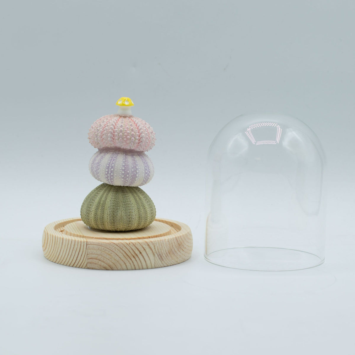 * Cloche lumineuse – 3 oursins décoratifs LED USB