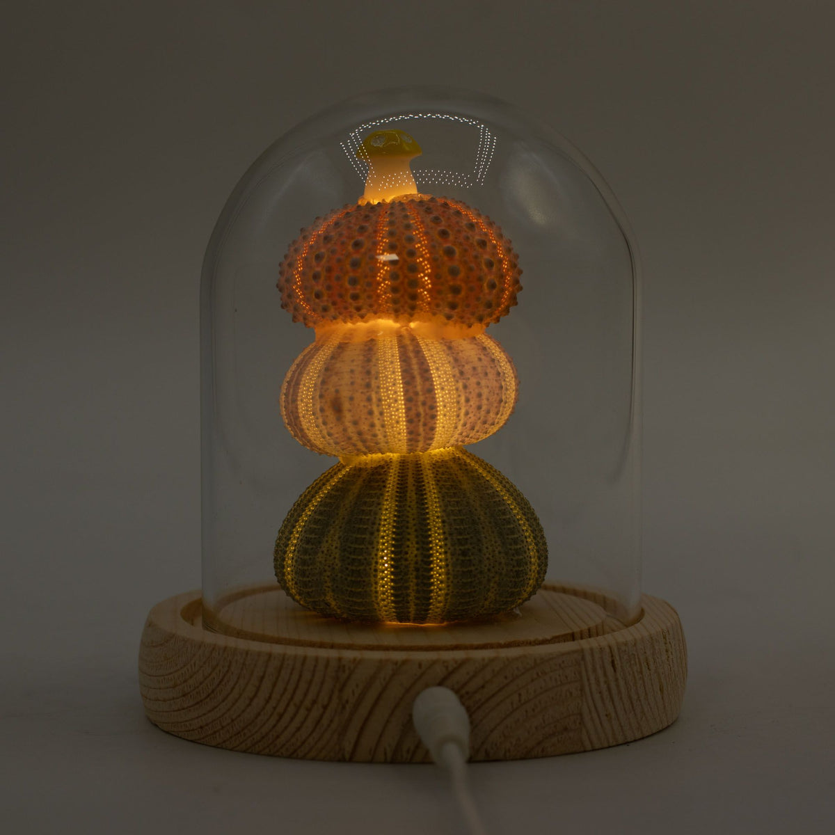 * Cloche lumineuse – 3 oursins décoratifs LED USB