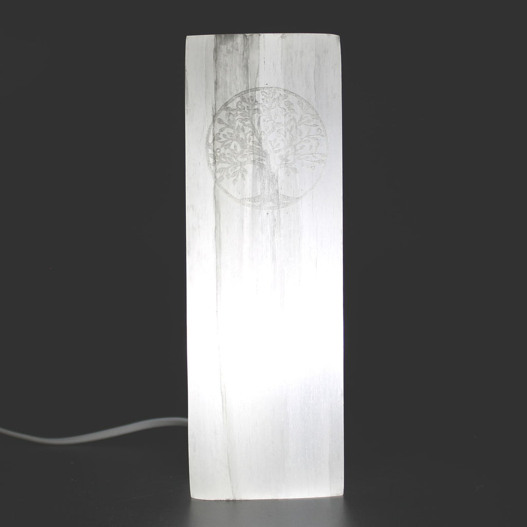 Lampe en bloc de sélénite – Arbre de Vie – 25 cm