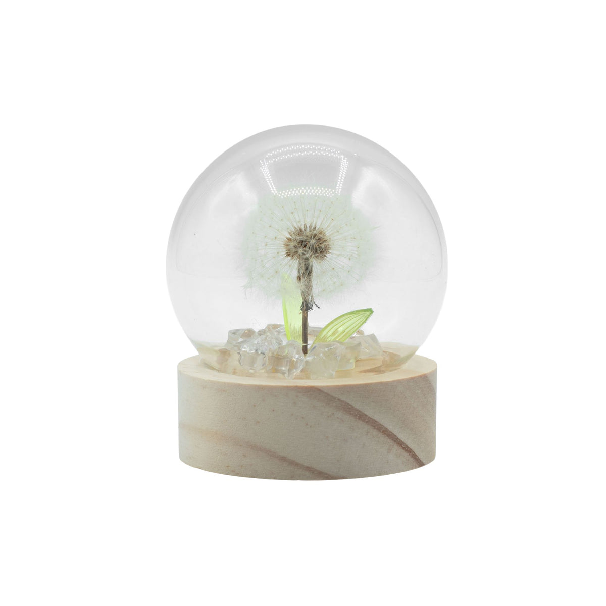 * Dôme floral lumineux – 1 pissenlit, LED à piles