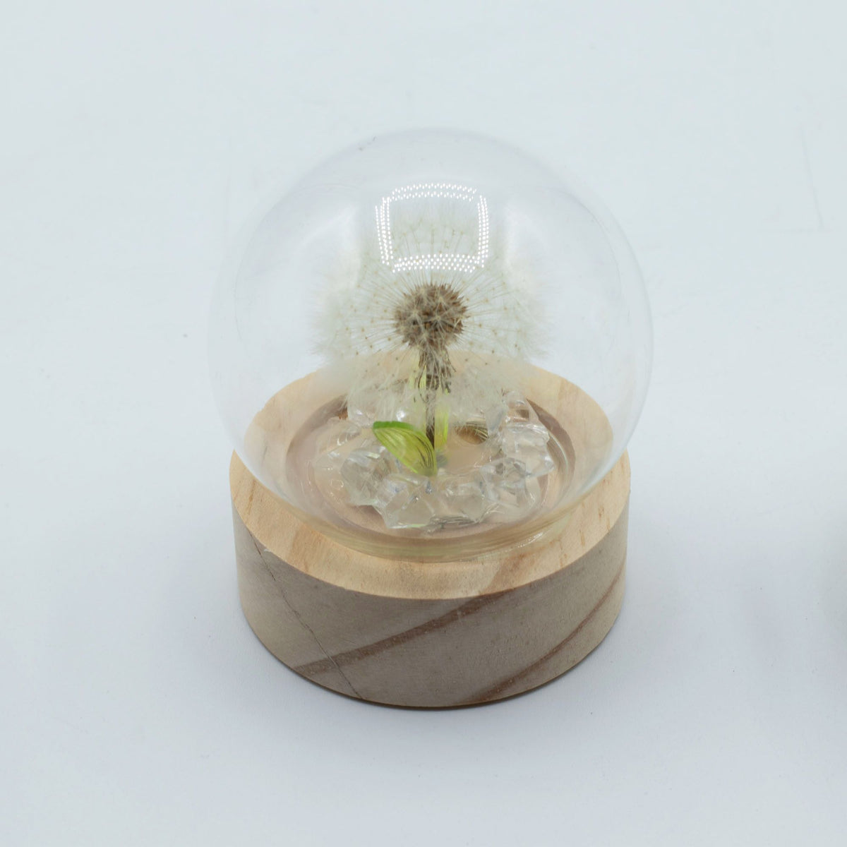 * Dôme floral lumineux – 1 pissenlit, LED à piles