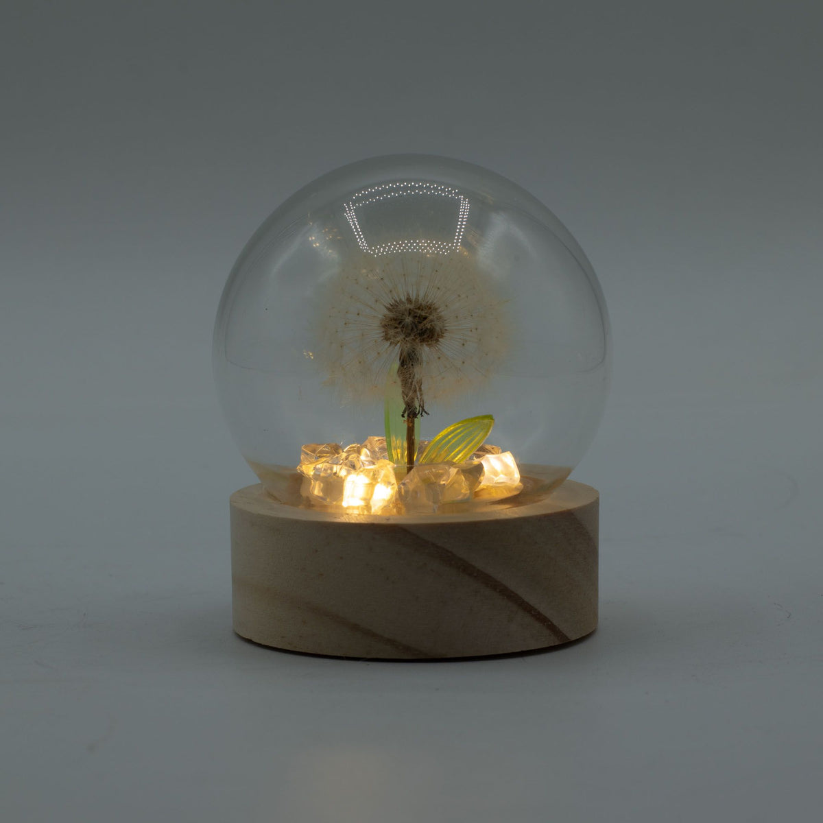 * Dôme floral lumineux – 1 pissenlit, LED à piles
